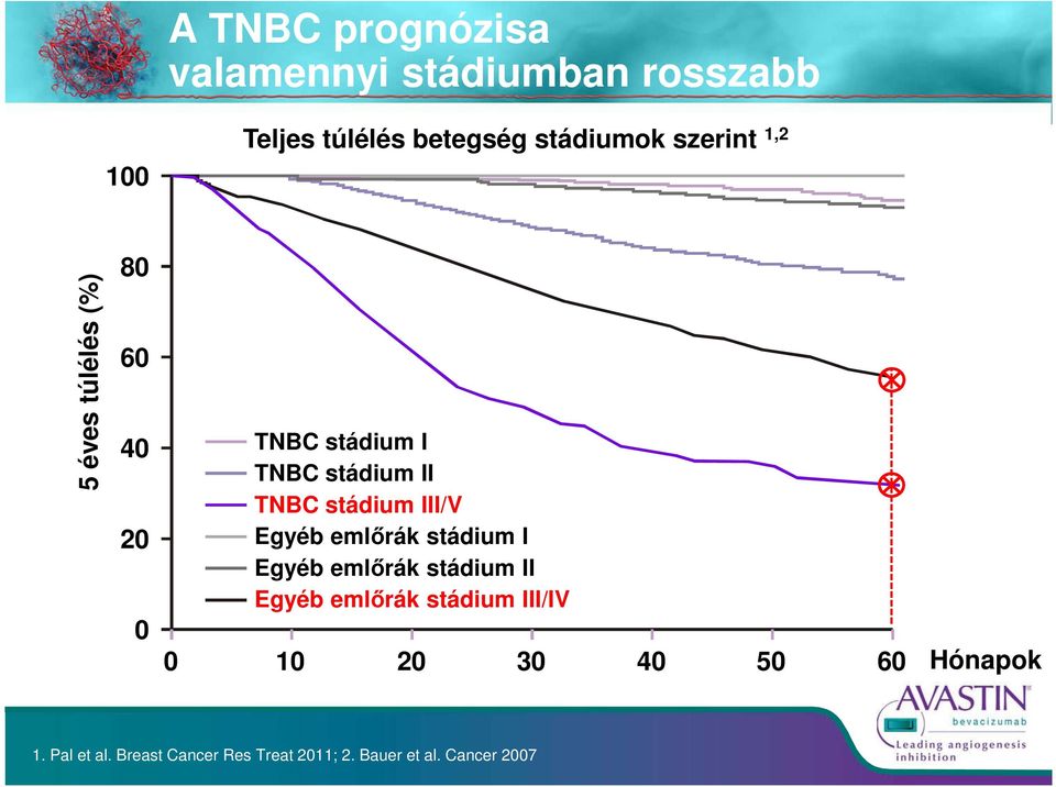 III/V Egyéb emlőrák stádium I Egyéb emlőrák stádium II Egyéb emlőrák stádium III/IV 0 10