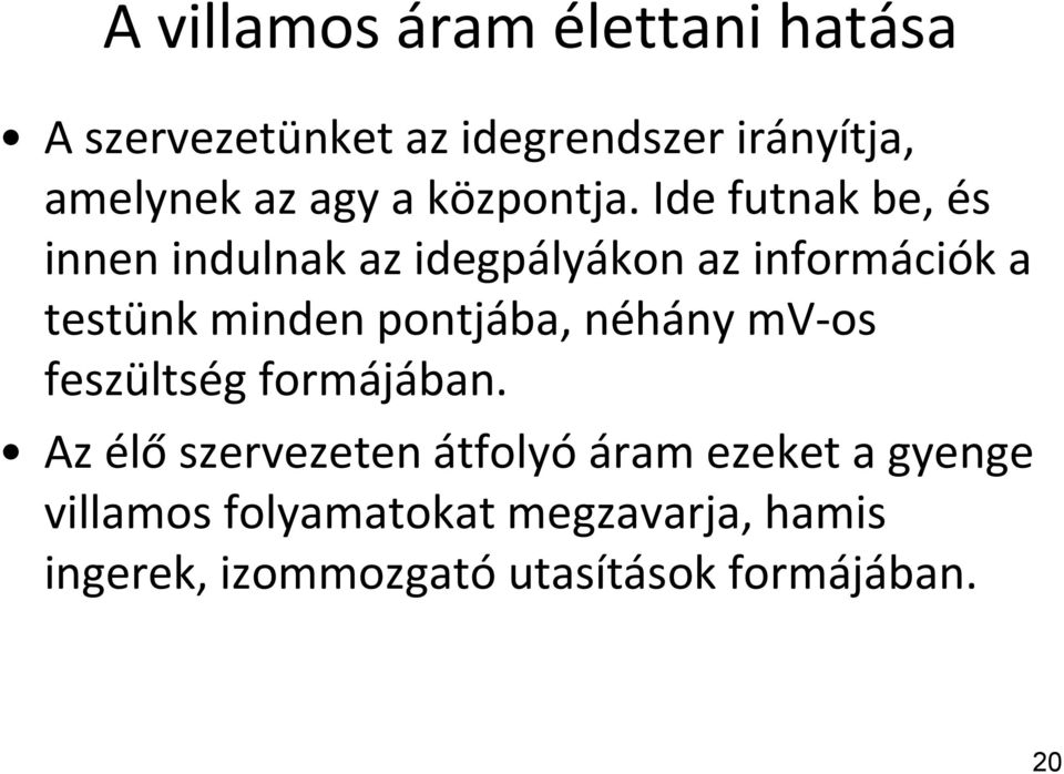 Ide futnak be, és innen indulnak az idegpályákon az információk a testünk minden pontjába,