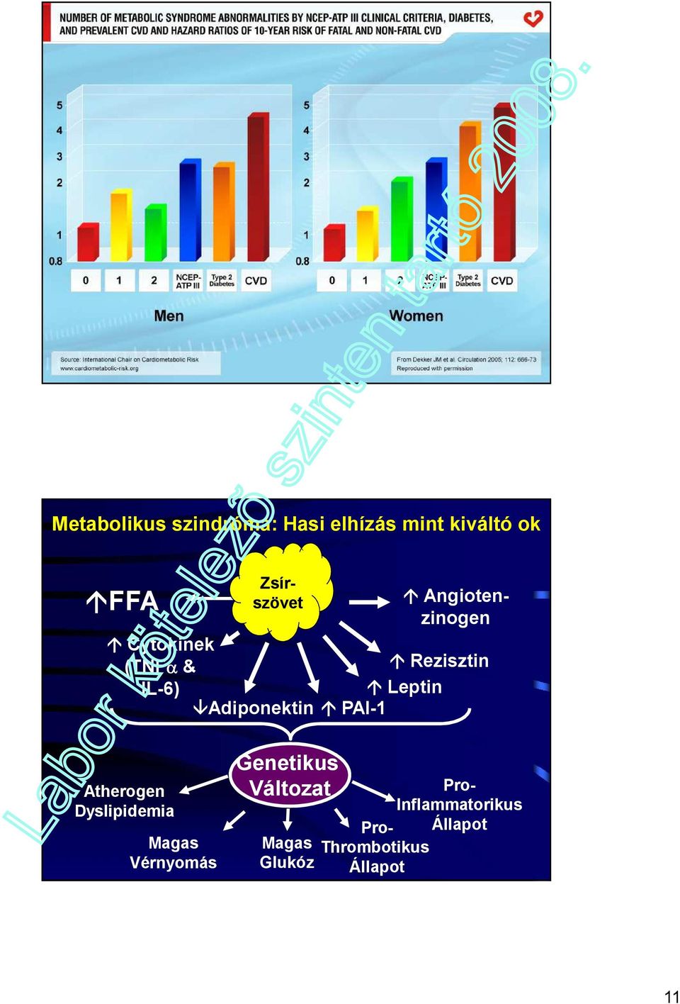 Dyslipidemia Magas Vérnyomás Genetikus Változat Magas Glukóz