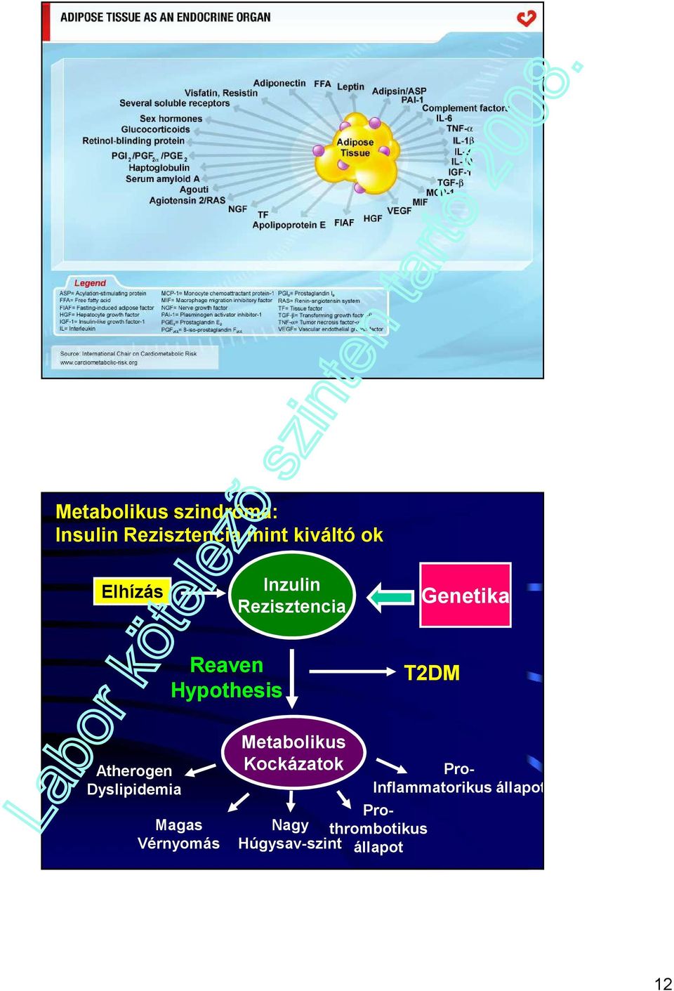 Atherogen Dyslipidemia Magas Vérnyomás Metabolikus Kockázatok