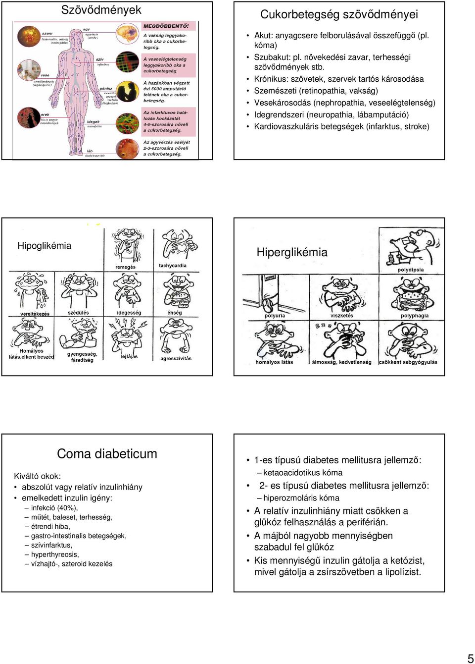 (infarktus, stroke) Hipoglikémia Hiperglikémia Coma diabeticum Kiváltó okok: abszolút vagy relatív inzulinhiány emelkedett inzulin igény: infekció (40%), műtét, baleset, terhesség, étrendi hiba,