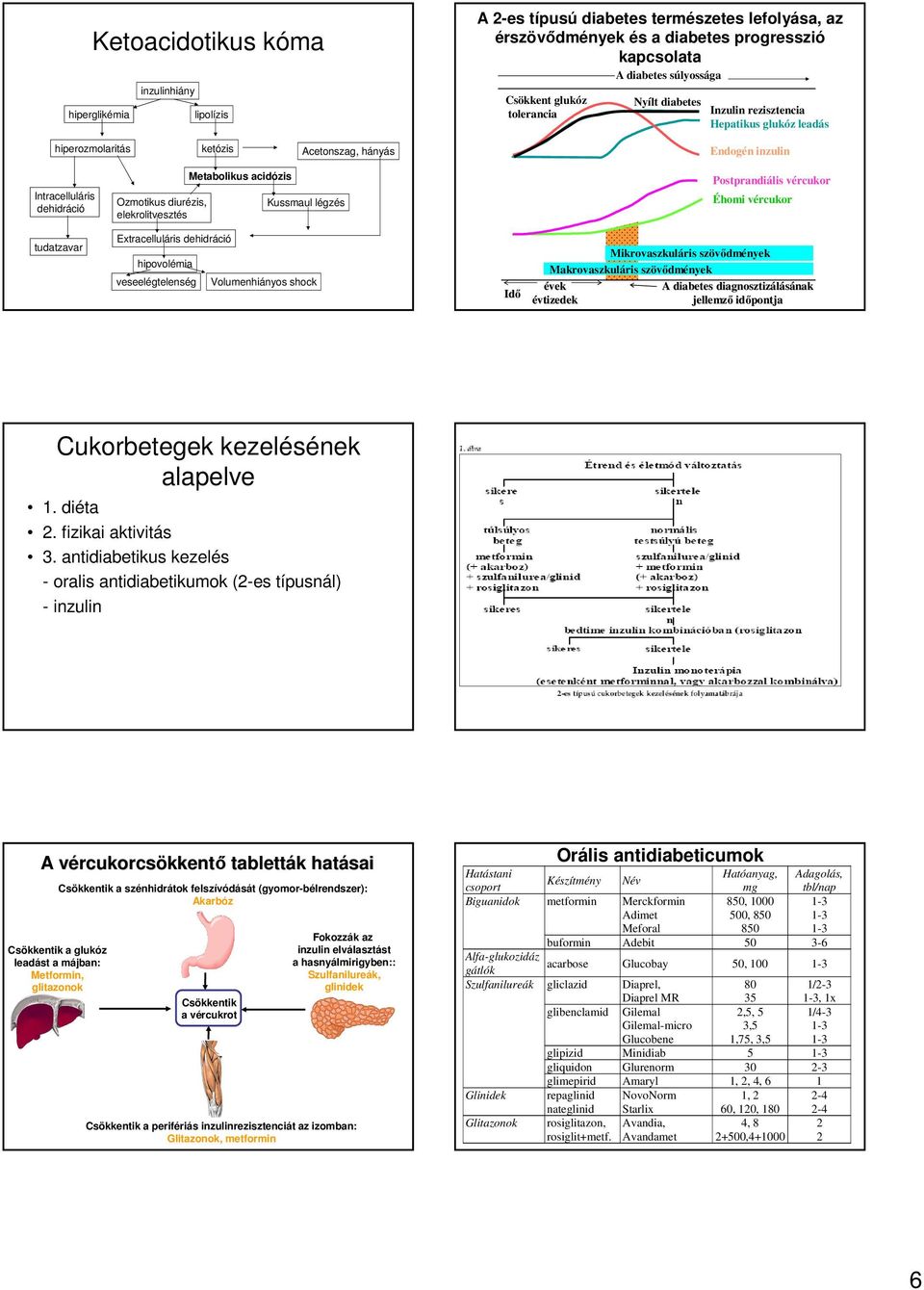 Metabolikus acidózis Kussmaul légzés Postprandiális vércukor Éhomi vércukor tudatzavar Extracelluláris dehidráció hipovolémia veseelégtelenség Volumenhiányos shock Idő Mikrovaszkuláris szövődmények