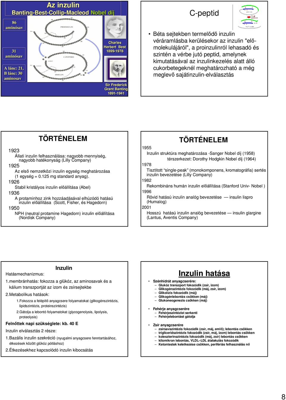 meghatározható a még meglevő sajátinzulin-elválasztás TÖRTÉNELEM 1923 Állati inzulin felhasználása: nagyobb mennyiség, nagyobb hatékonyság (Lilly Company) 1925 Az első nemzetközi inzulin egység