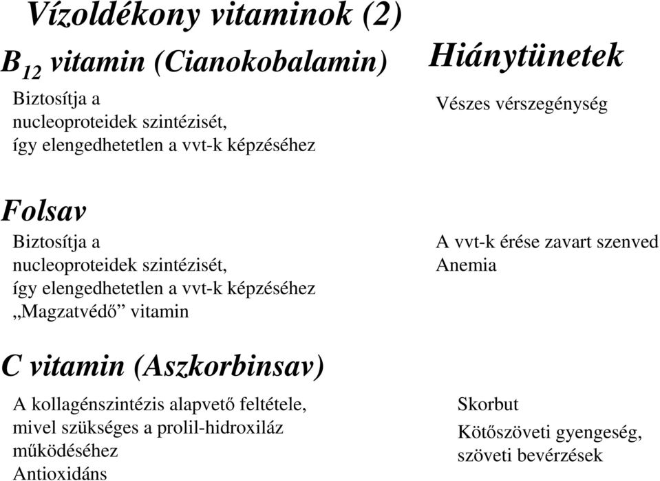 vitamin C vitamin (Aszkorbinsav) A kollagénszintézis alapvető feltétele, mivel szükséges a prolil-hidroxiláz működéséhez