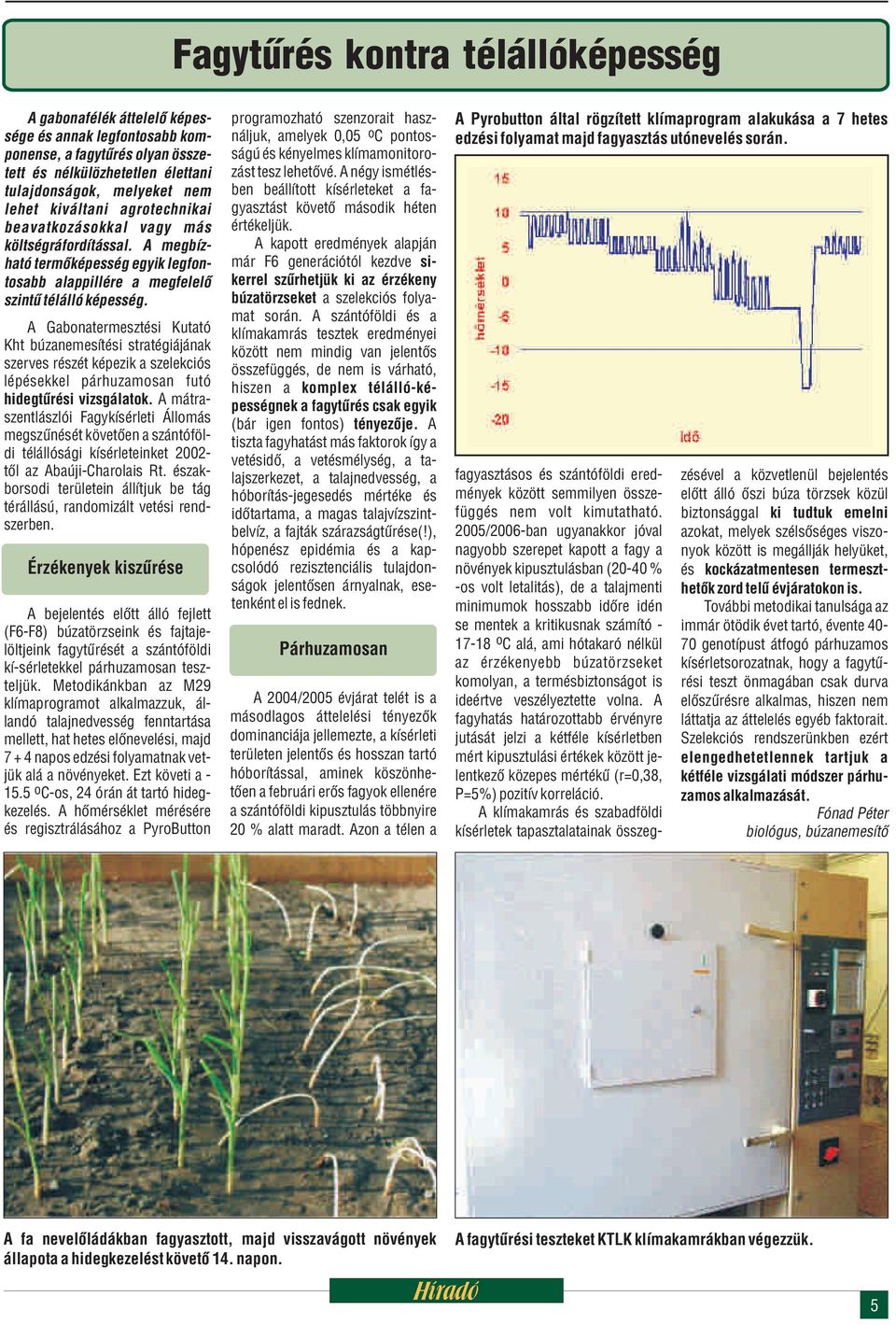 A Gabonatermesztési Kutató Kht búzanemesítési stratégiájának szerves részét képezik a szelekciós lépésekkel párhuzamosan futó hidegtûrési vizsgálatok.