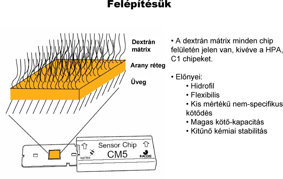 chipeket.