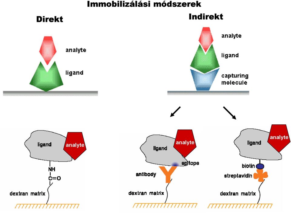 módszerek