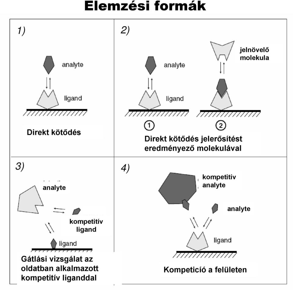 kompetitív analyte analyte kompetitív ligand Gátlási vizsgálat