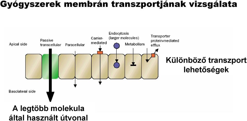 Különböző transzport