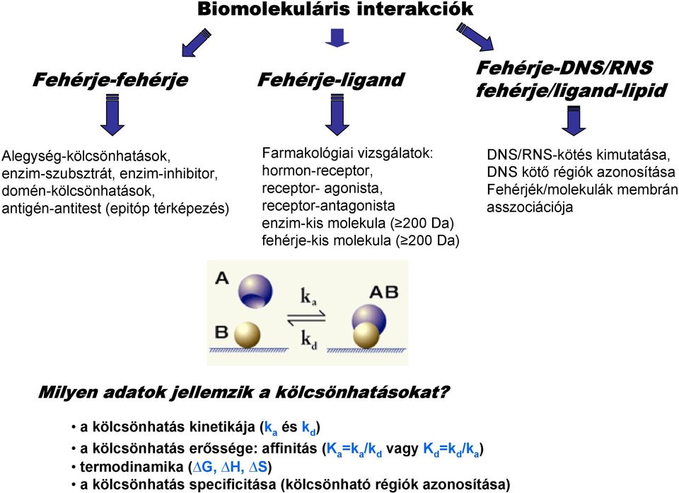 fehérje-kis molekula ( 200 Da) DNS/RNS-kötés kimutatása, DNS kötő régiók azonosítása Fehérjék/molekulák membrán asszociációja Milyen adatok jellemzik a kölcsönhatásokat?