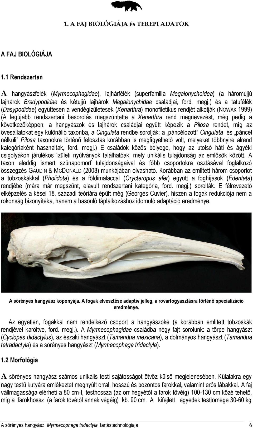 ) és a tatufélék (Dasypodidae) együttesen a vendégizületesek (Xenarthra) monofiletikus rendjét alkotják (NOWAK 1999) (A legújabb rendszertani besorolás megszüntette a Xenarthra rend megnevezést, még