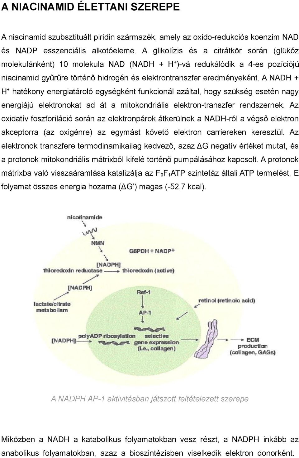 A NADH + H + hatékony energiatároló egységként funkcionál azáltal, hogy szükség esetén nagy energiájú elektronokat ad át a mitokondriális elektron-transzfer rendszernek.