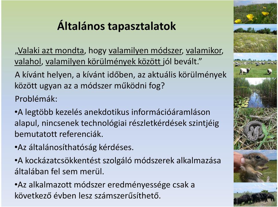 Problémák: A legtöbb kezelés anekdotikus információáramláson alapul, nincsenek technológiai részletkérdések szintjéig bemutatott