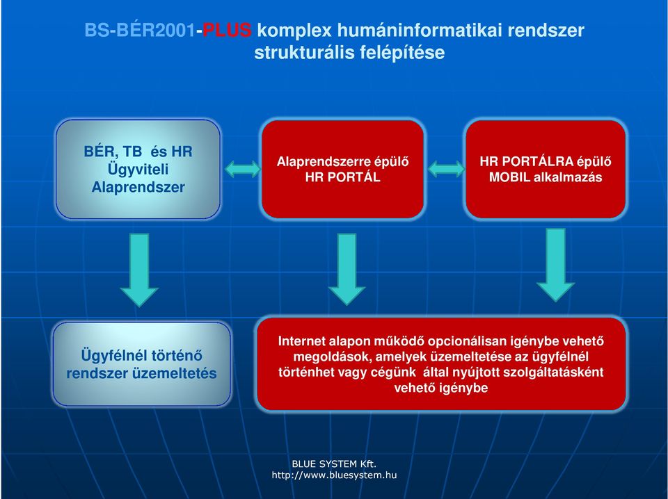 Ügyfélnél történő rendszer üzemeltetés Internet alapon működő opcionálisan igénybe vehető