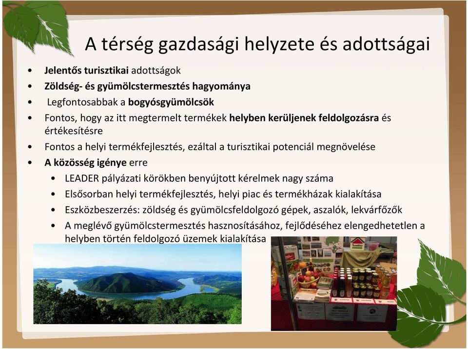 igénye erre LEADER pályázati körökben benyújtott kérelmek nagy száma Elsősorban helyi termékfejlesztés, helyi piac és termékházak kialakítása Eszközbeszerzés: zöldség