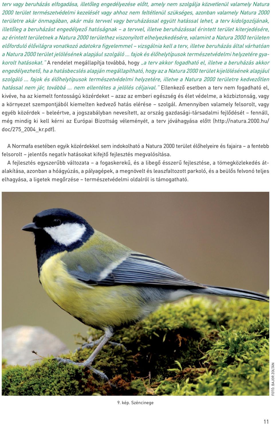 beruházással érintett terület kiterjedésére, az érintett területnek a Natura 2000 területhez viszonyított elhelyezkedésére, valamint a Natura 2000 területen előforduló élővilágra vonatkozó adatokra