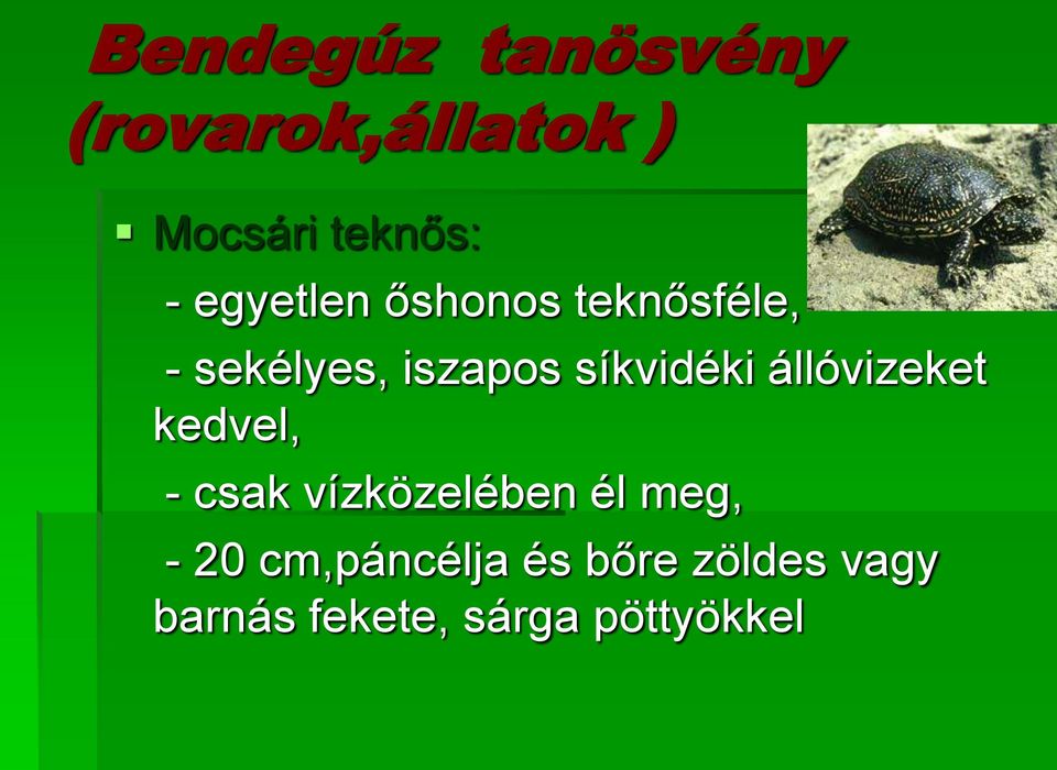 síkvidéki állóvizeket kedvel, - csak vízközelében él meg,