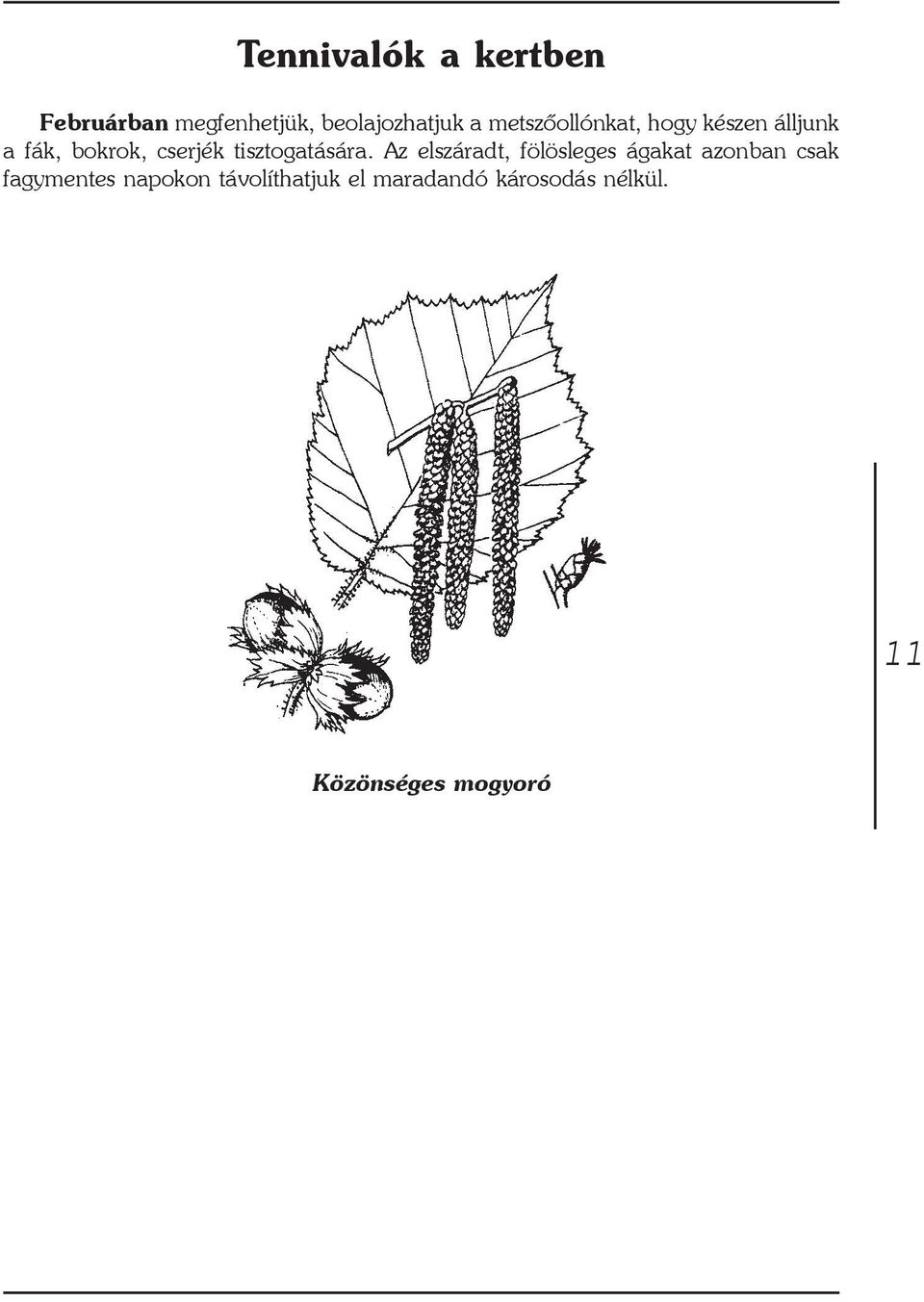 tisztogatására.