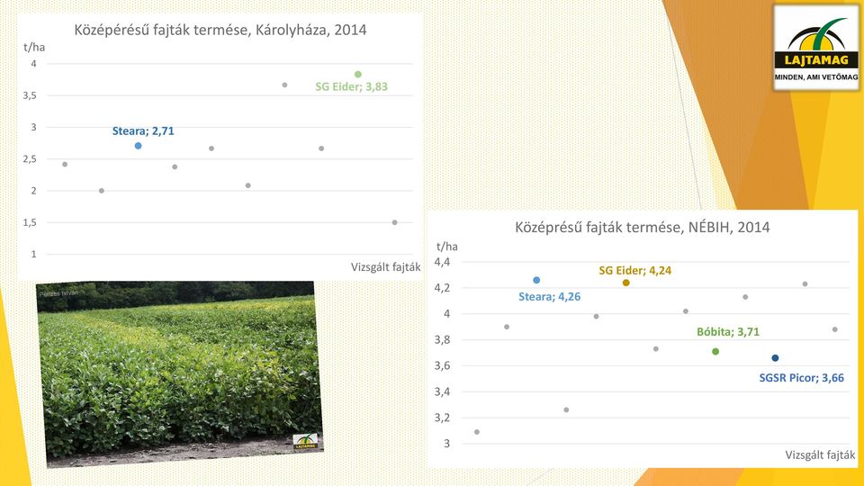 3,8 Középrésű fajták termése, NÉBIH, 2014 SG Eider; 4,24 Steara;