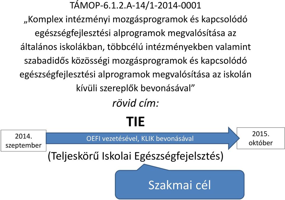 az általános iskolákban, többcélú intézményekben valamint szabadidős közösségi mozgásprogramok és kapcsolódó