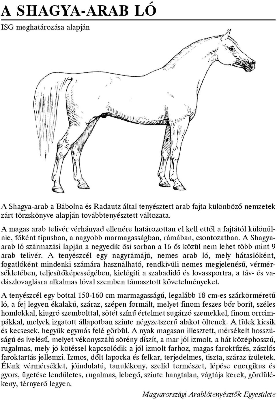 A Shagyaarab ló származási lapján a negyedik õsi sorban a 16 õs közül nem lehet több mint 9 arab telivér.