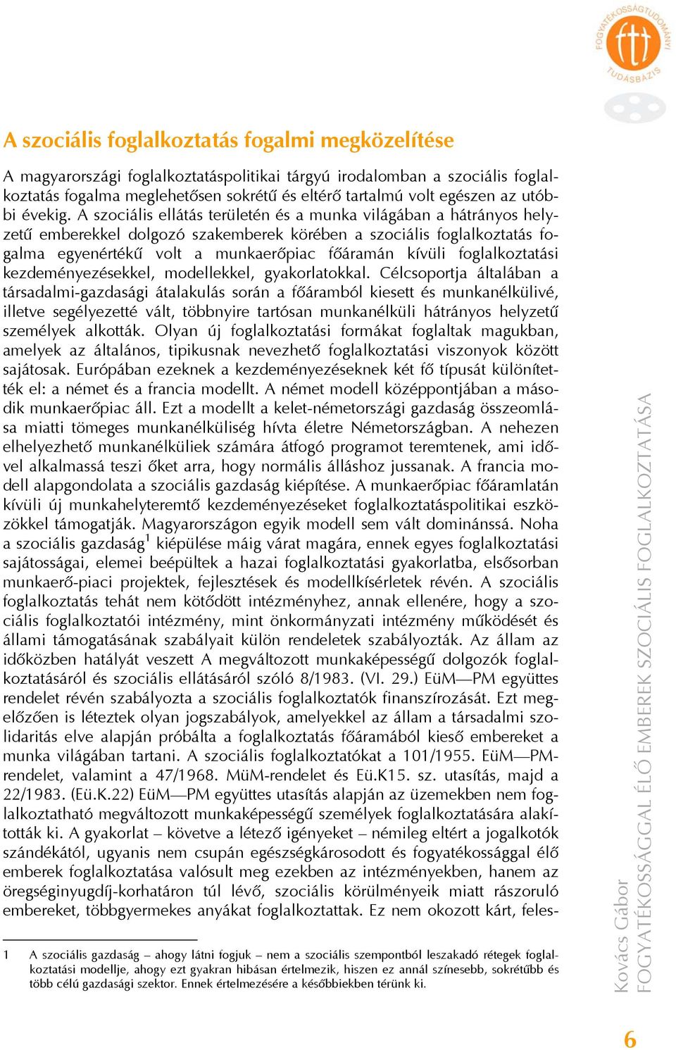 A szociális ellátás területén és a munka világában a hátrányos helyzetű emberekkel dolgozó szakemberek körében a szociális foglalkoztatás fogalma egyenértékű volt a munkaerőpiac főáramán kívüli