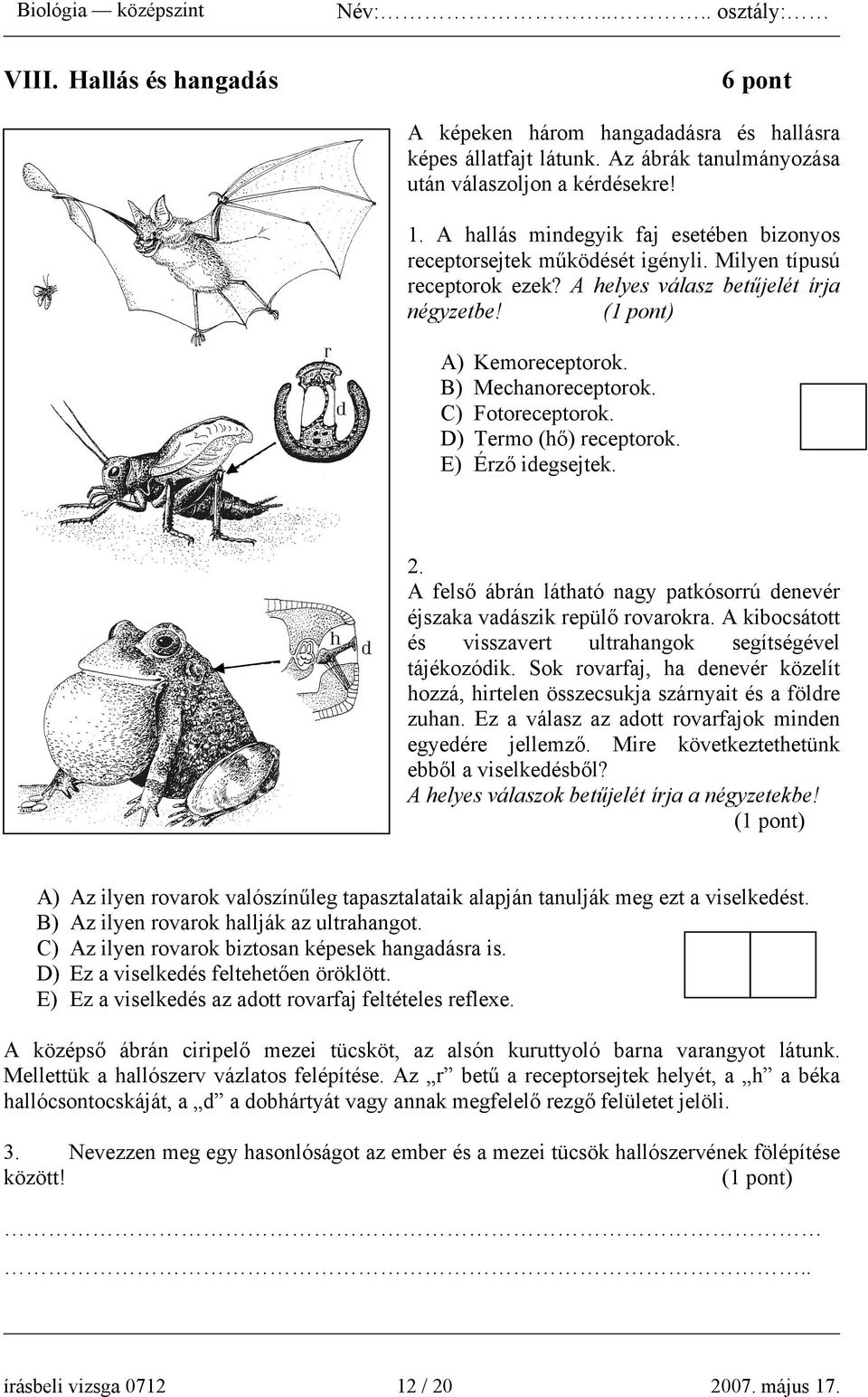 C) Fotoreceptorok. D) Termo (hő) receptorok. E) Érző idegsejtek. 2. A felső ábrán látható nagy patkósorrú denevér éjszaka vadászik repülő rovarokra.