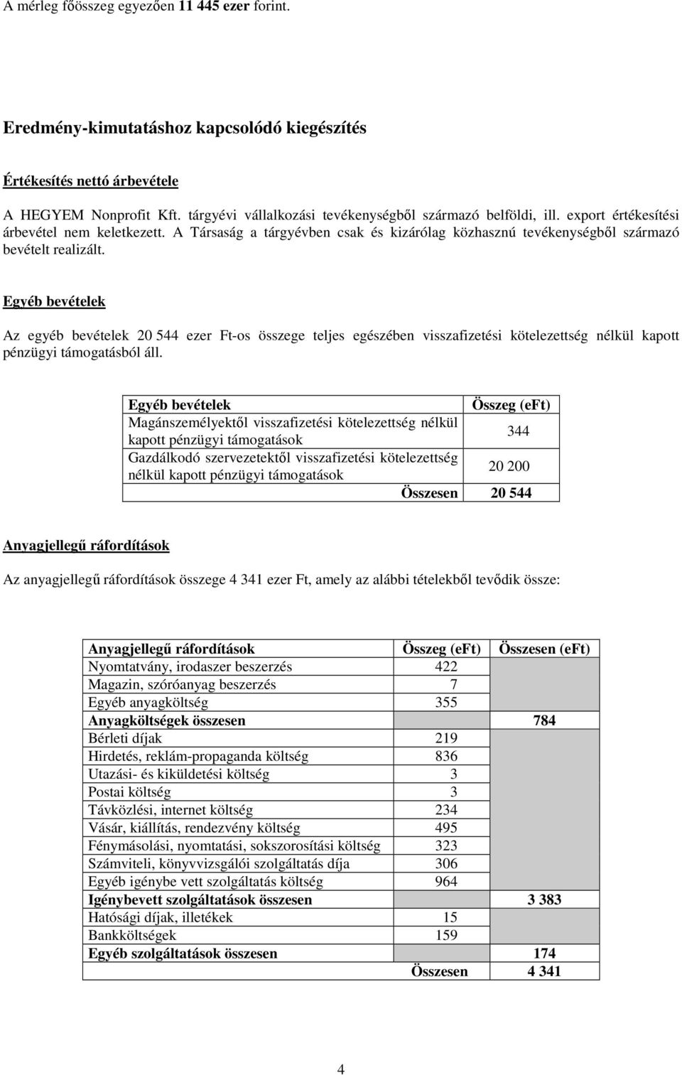 A Társaság a tárgyévben csak és kizárólag közhasznú tevékenységből származó bevételt realizált.