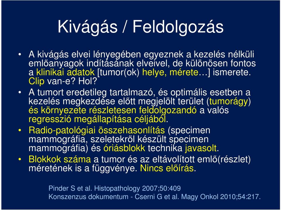 A tumort eredetileg tartalmazó, és optimális esetben a kezelés megkezdése előtt megjelölt terület (tumorágy) és környezete részletesen feldolgozandó a valós regresszió megállapítása