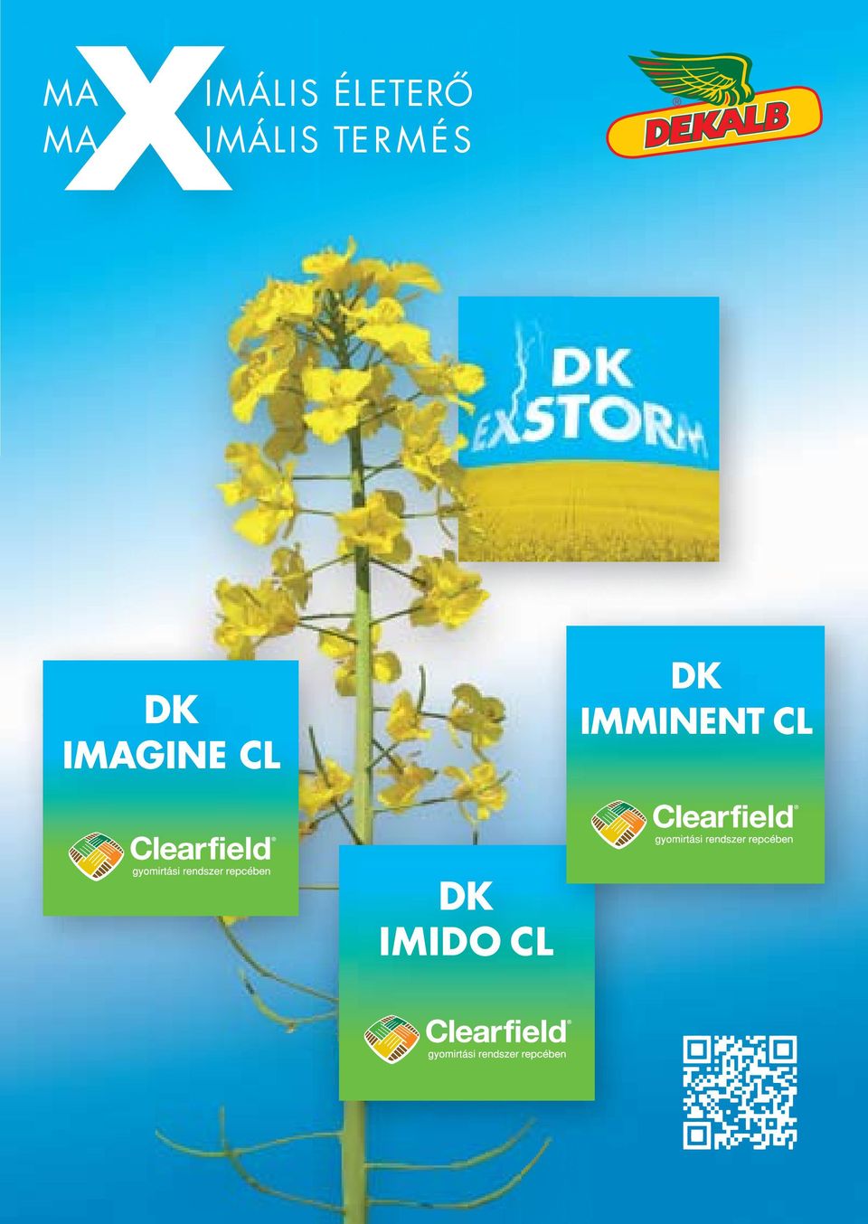 IMAGINE CL DK IMMINENT CL