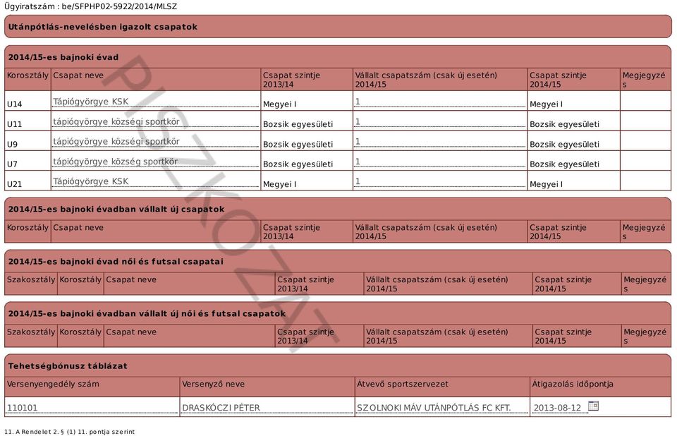 Tápiógyörgye KSK Megyei I 1 Megyei I -es bajnoki évadban vállalt új csapatok Korosztály Csapat neve 2013/14 Vállalt csapatszám (csak új esetén) Megjegyzé s -es bajnoki évad női és futsal csapatai