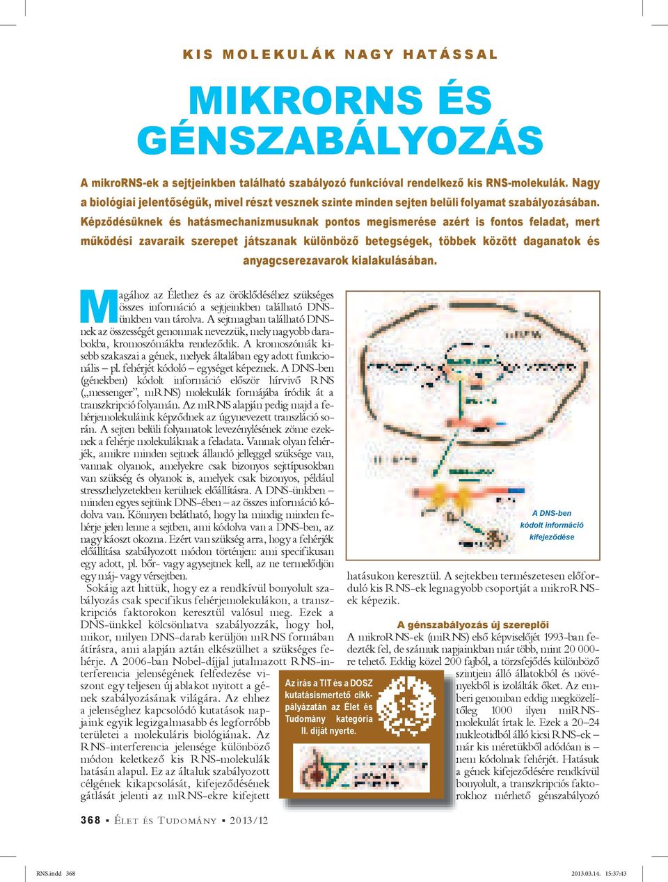 Képz désüknek és hatásmechanizmusuknak pontos megismerése azért is fontos feladat, mert m ködési zavaraik szerepet játszanak különböz betegségek, többek között daganatok és anyagcserezavarok