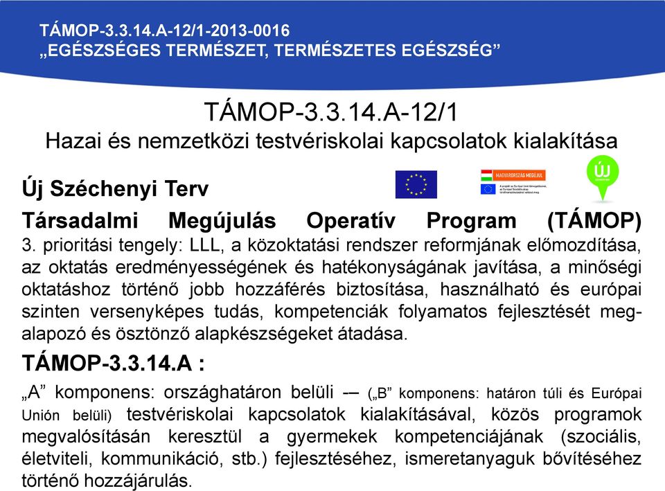 használható és európai szinten versenyképes tudás, kompetenciák folyamatos fejlesztését megalapozó és ösztönző alapkészségeket átadása. TÁMOP-3.3.14.