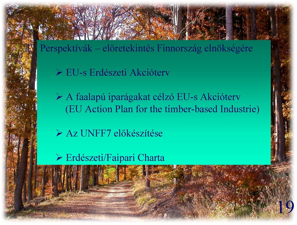 EU-s Akcióterv (EU Action Plan for the timber-based