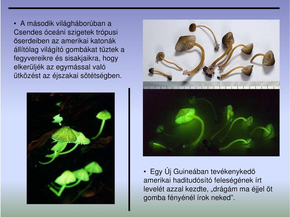 egymással való ütközést az éjszakai sötétségben.