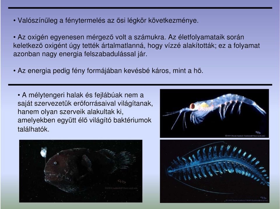 energia felszabadulással jár. Az energia pedig fény formájában kevésbé káros, mint a hı.