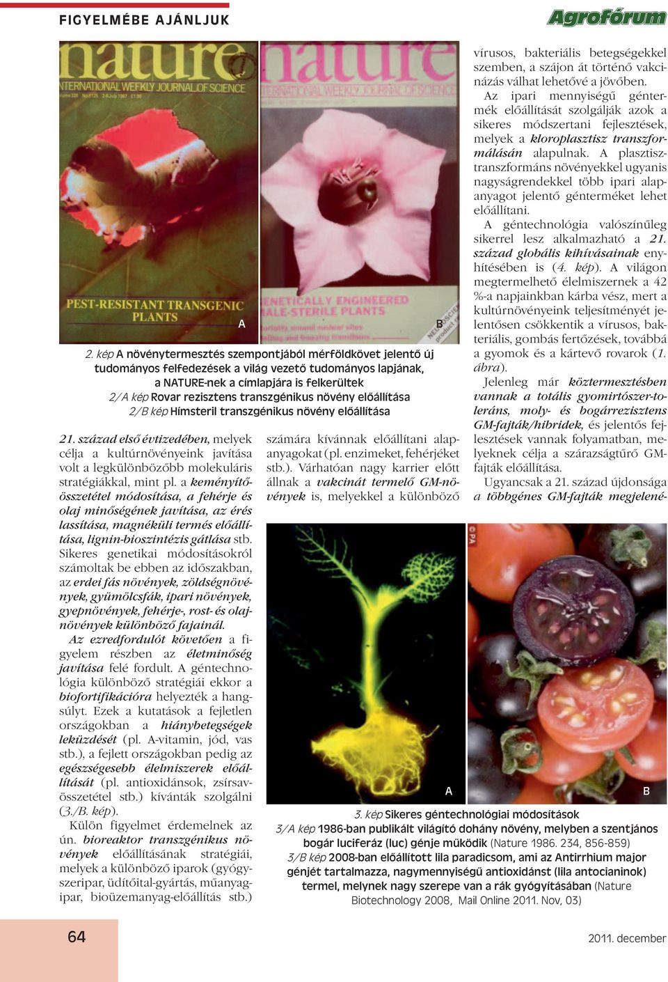 Sikeres genetikai módosításokról számoltak be ebben az időszakban, az erdei fás növények, zöldségnövények, gyümölcsfák, ipari növények, gyepnövények, fehérje-, rost- és olajnövények különböző