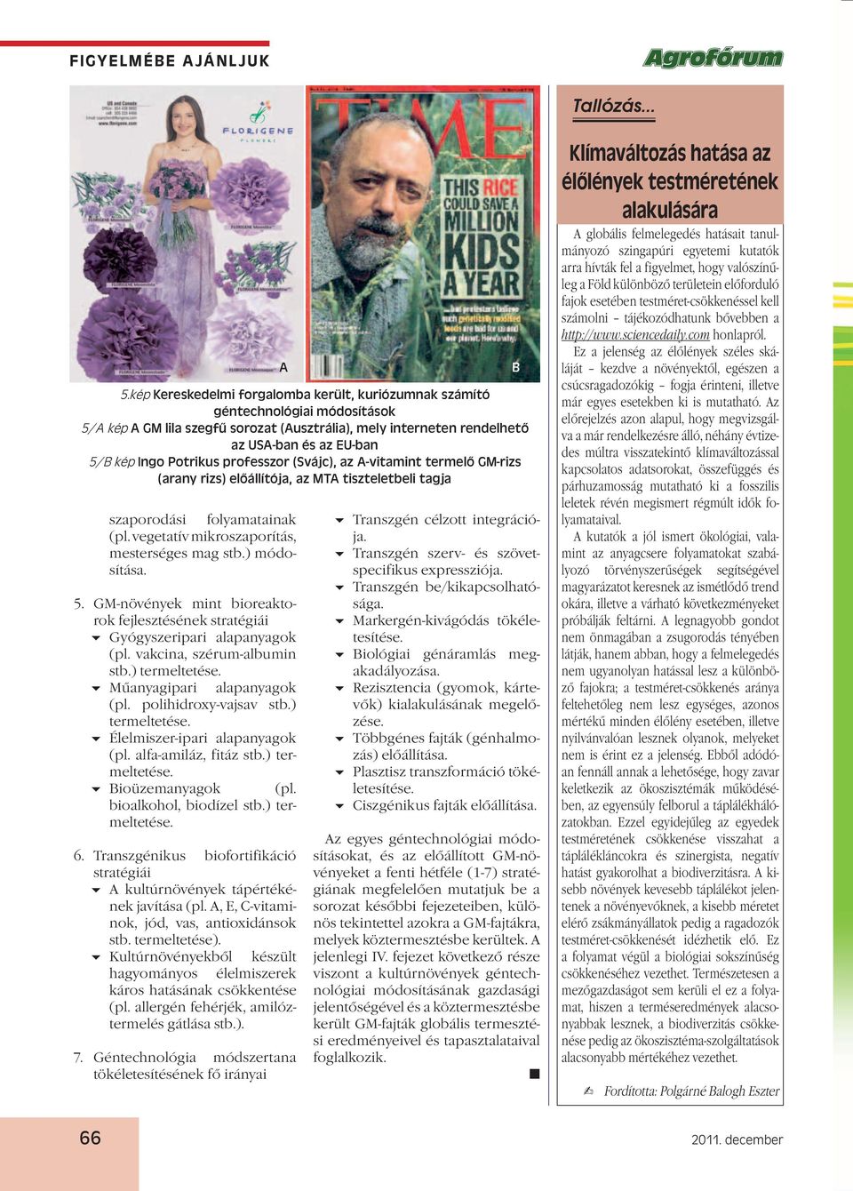 bioalkohol, biodízel stb.) termeltetése. 6. Transzgénikus biofortifikáció stratégiái kultúrnövények tápértékének javítása (pl., E, C-vitaminok, jód, vas, antioxidánsok stb. termeltetése).