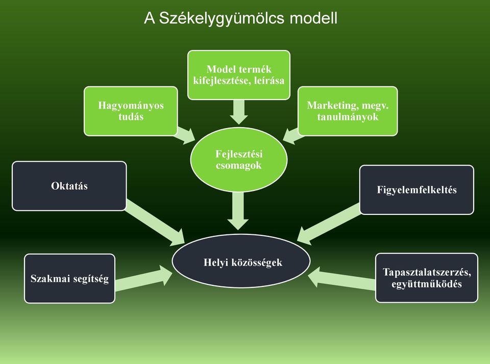 tanulmányok Fejlesztési csomagok Oktatás