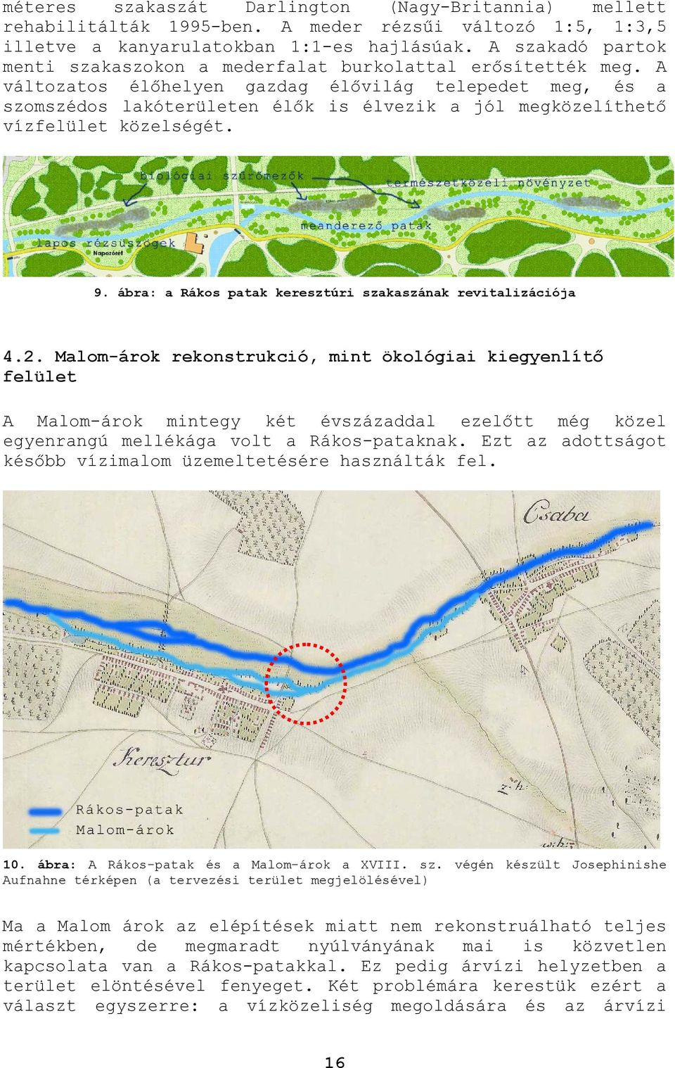 A változatos élőhelyen gazdag élővilág telepedet meg, és a szomszédos lakóterületen élők is élvezik a jól megközelíthető vízfelület közelségét. 9.