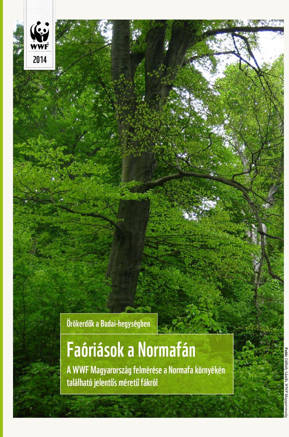 Normafán A WWF Magyarország