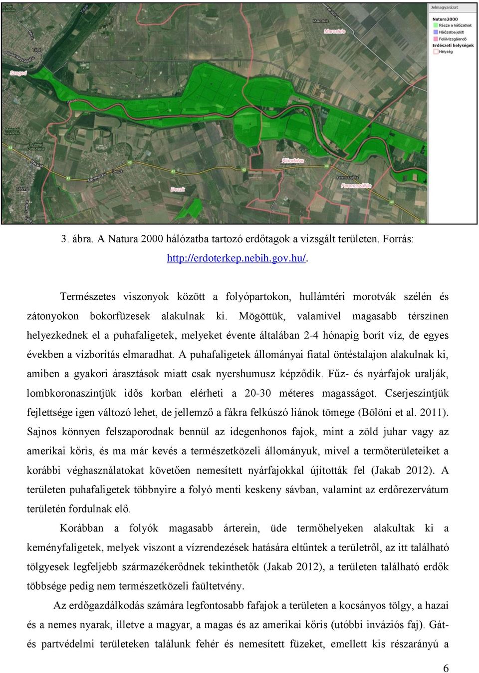 Mögöttük, valamivel magasabb térszínen helyezkednek el a puhafaligetek, melyeket évente általában 2-4 hónapig borít víz, de egyes években a vízborítás elmaradhat.