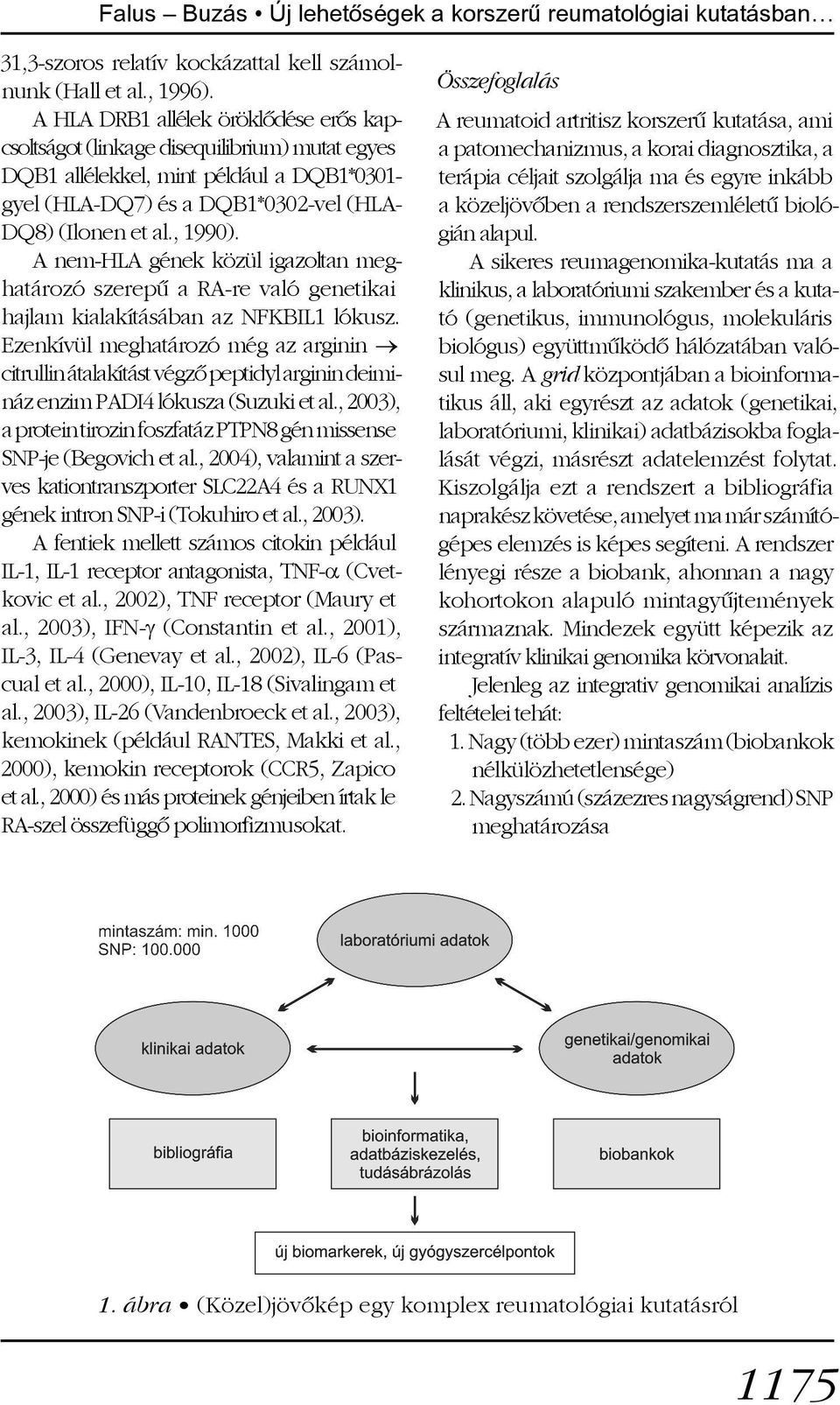 A nem-hla gének közül igazoltan meghatározó szerepû a RA-re való genetikai hajlam kialakításában az NFKBIL1 lókusz.