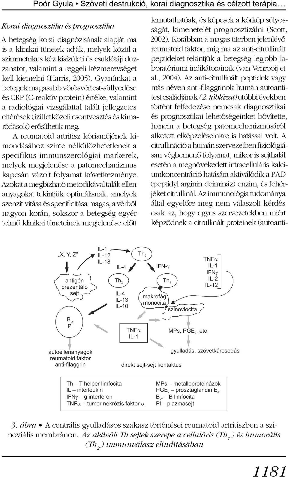 Gyanúnkat a betegek magasabb vörösvértest-süllyedése és CRP (C-reaktív protein) értéke, valamint a radiológiai vizsgálattal talált jellegzetes eltérések (ízületközeli csontvesztés és kimaródások)