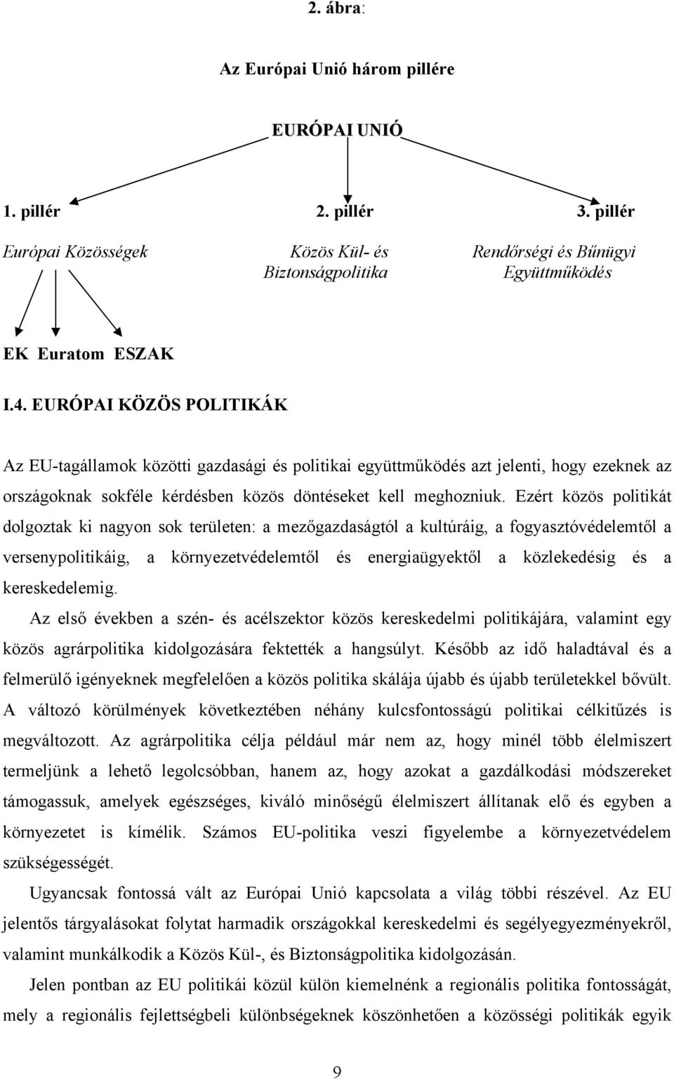 Ezért közös politikát dolgoztak ki nagyon sok területen: a mezőgazdaságtól a kultúráig, a fogyasztóvédelemtől a versenypolitikáig, a környezetvédelemtől és energiaügyektől a közlekedésig és a