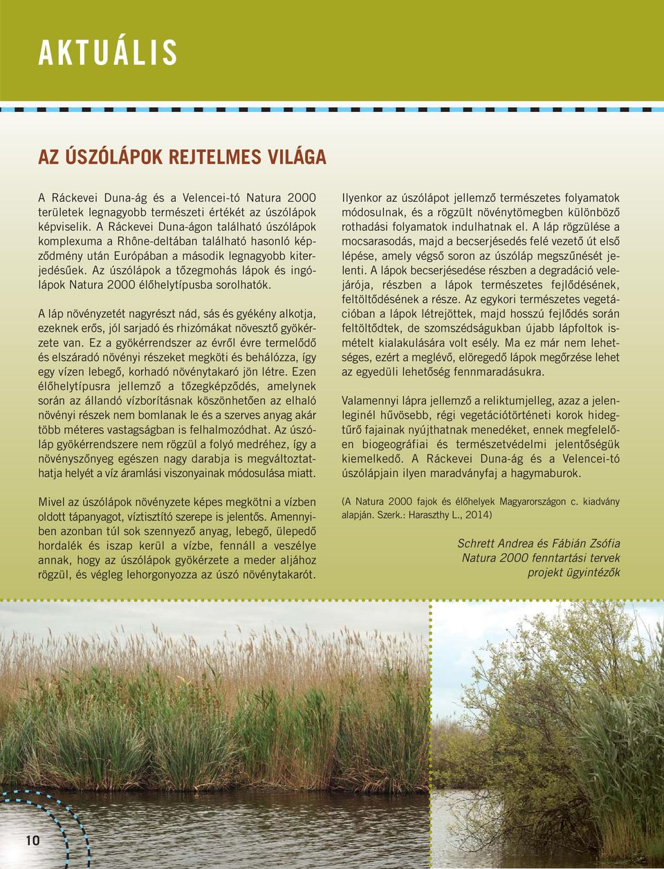 Az úszólápok a tőzegmohás lápok és ingólápok Natura 2000 élőhelytípusba sorolhatók.