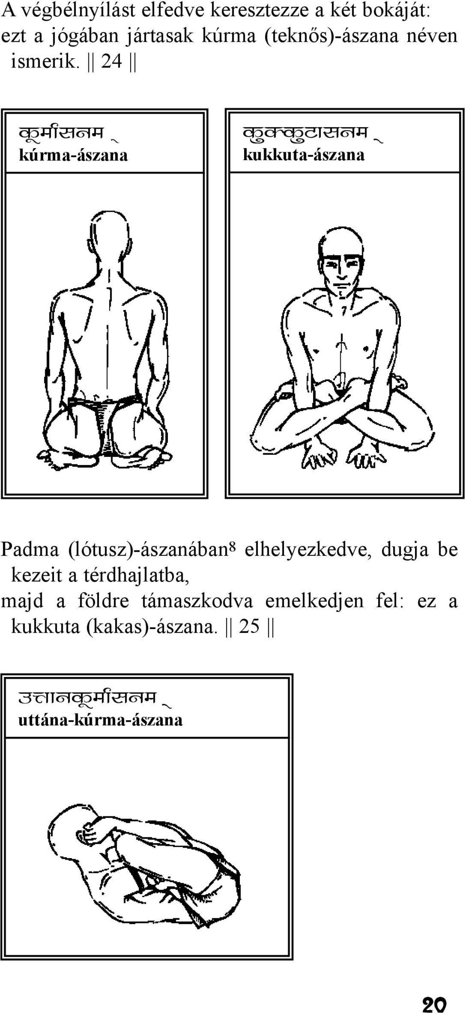 24 dwekzlue ~ kúrma-ászana dqddqvklue ~ kukkuta-ászana Padma (lótusz)-ászanában 8