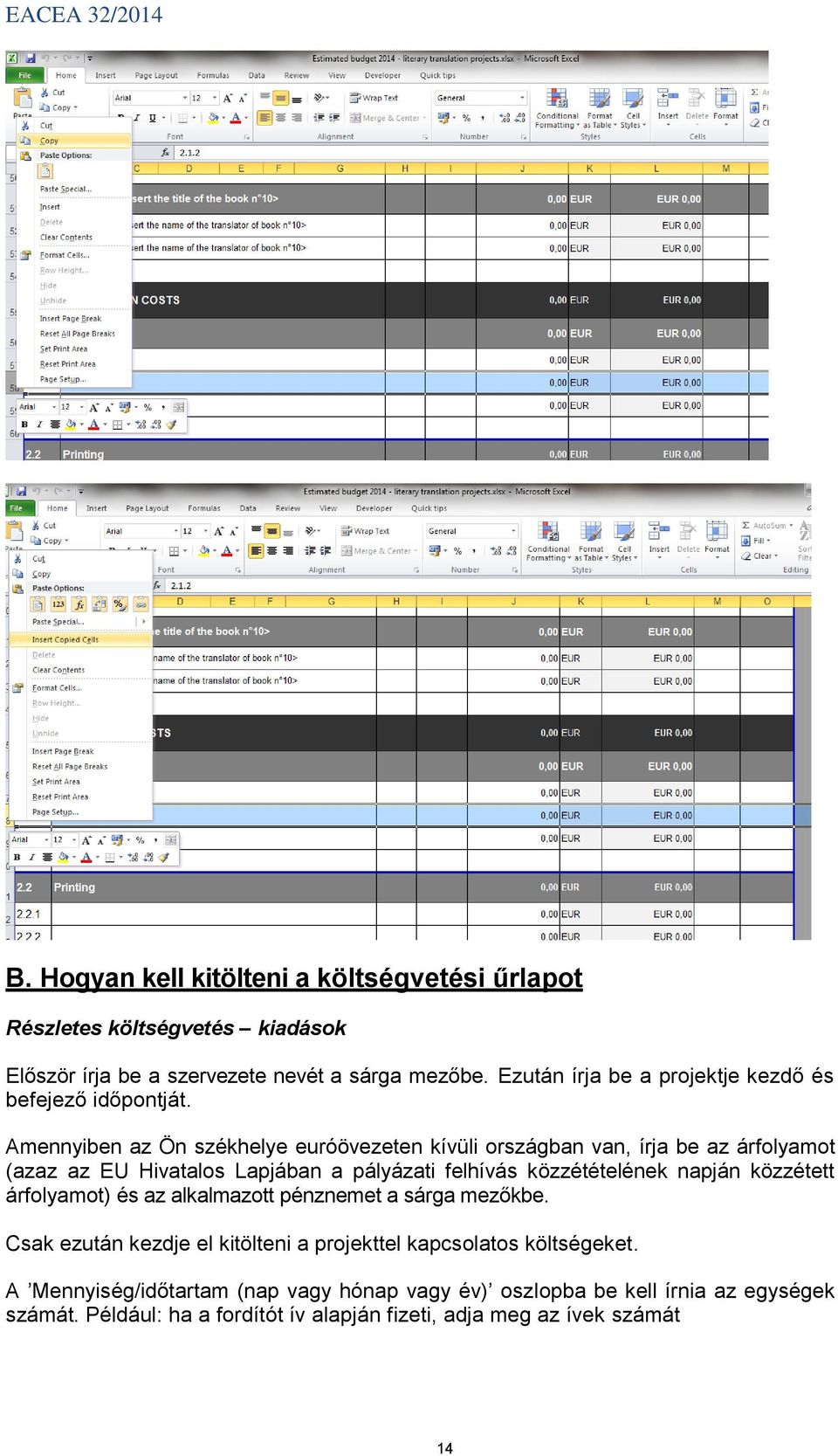 Amennyiben az Ön székhelye euróövezeten kívüli országban van, írja be az árfolyamot (azaz az EU Hivatalos Lapjában a pályázati felhívás közzétételének napján