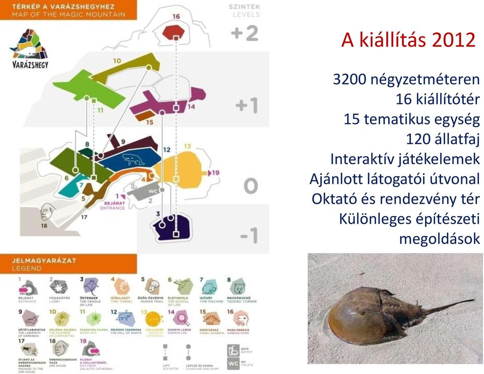 Interaktív játékelemek Ajánlott látogatói