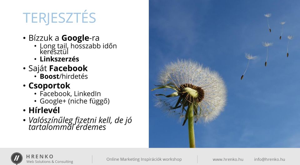 Csoportok Facebook, LinkedIn Google+ (niche függő)